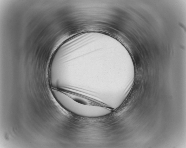 X0000097950803200804211035
