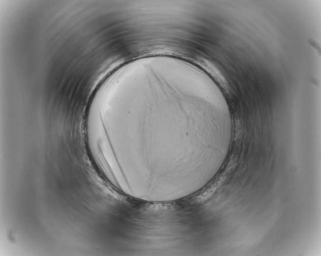 X0000097950806200804211035
