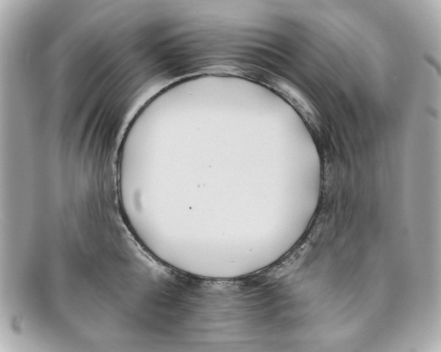 X0000097950808200804211035