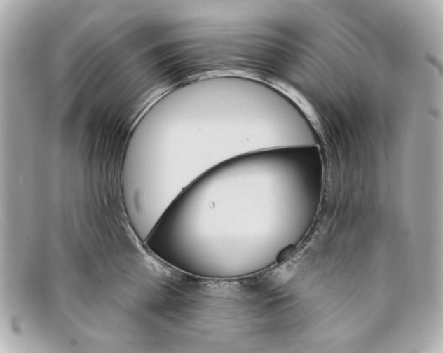 X0000097950809200804211035