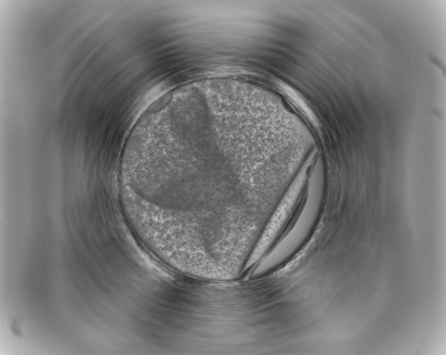 X0000097950810200804211035