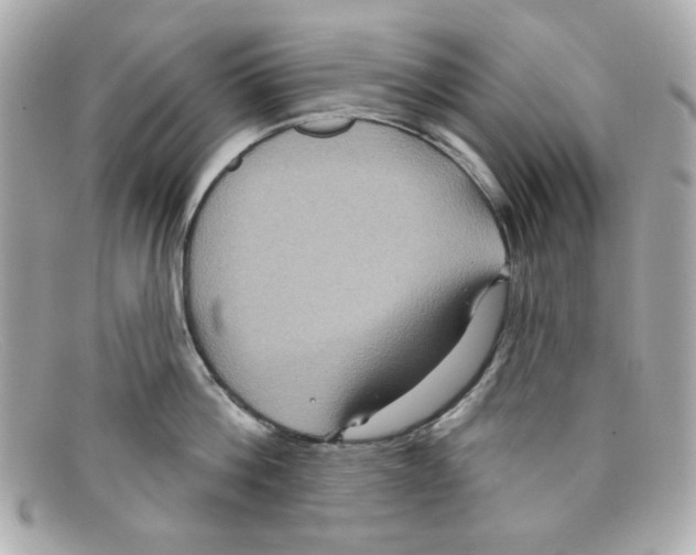 X0000097950812200804211035
