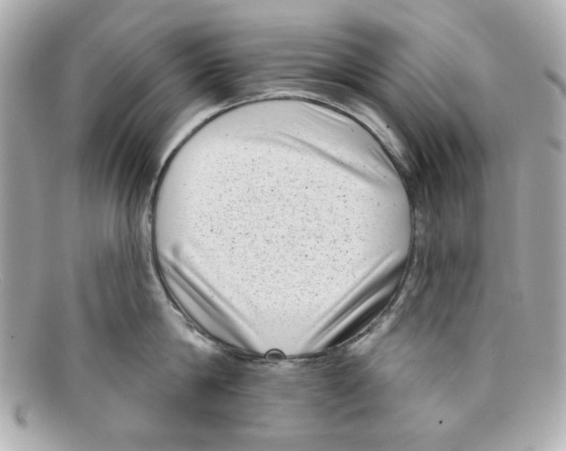 X0000097950814200804211035