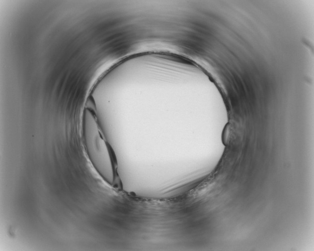 X0000097950815200804211035