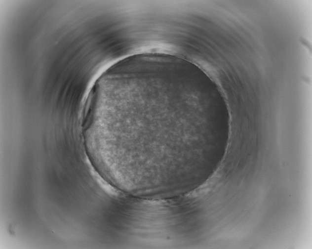 X0000097950816200804211035