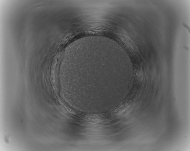 X0000097950817200804211033