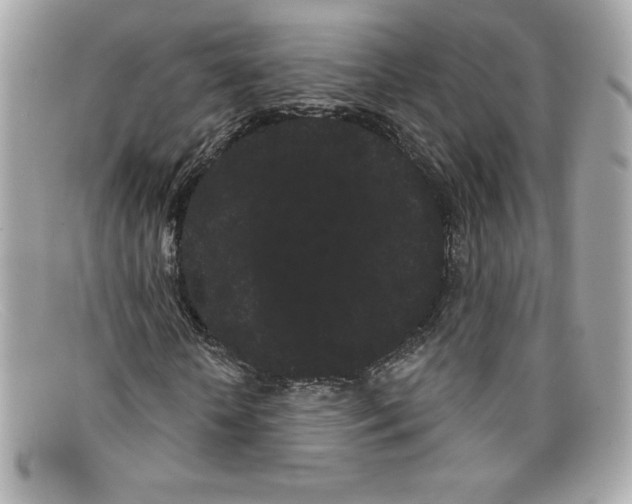 X0000097950818200804211034