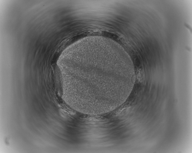X0000097950819200804211034