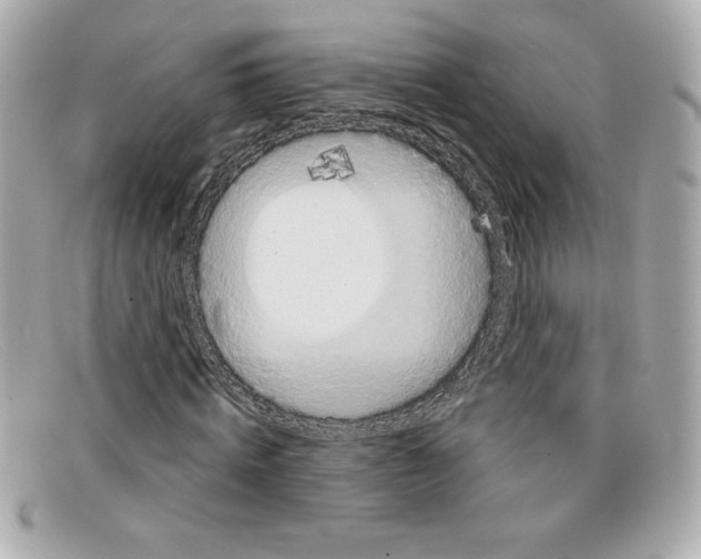 X0000097950820200804211034