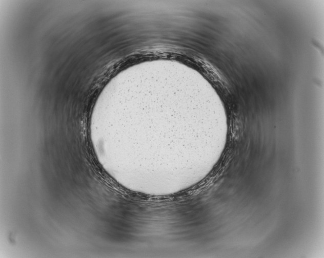 X0000097950821200804211034