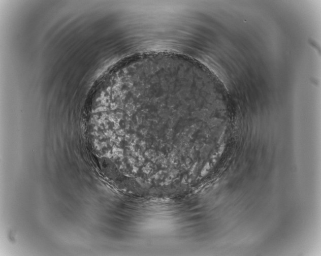 X0000097950823200804211034