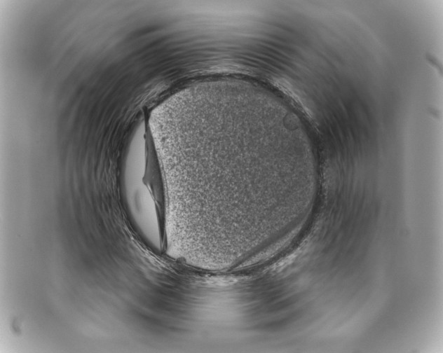 X0000097950825200804211034