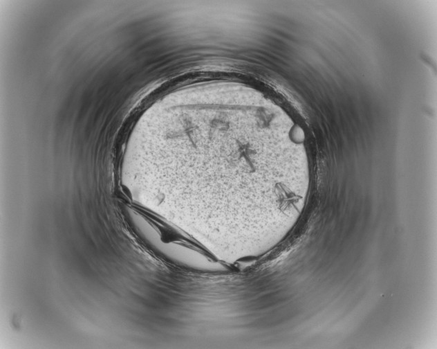X0000097950829200804211034