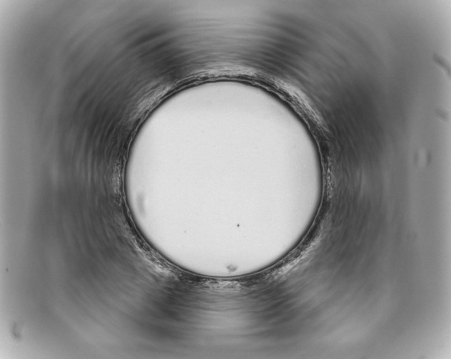 X0000097950833200804211034