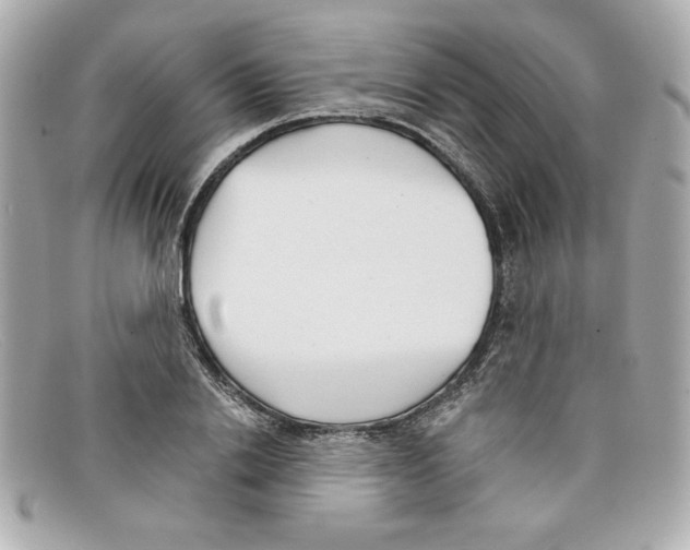 X0000097950838200804211034