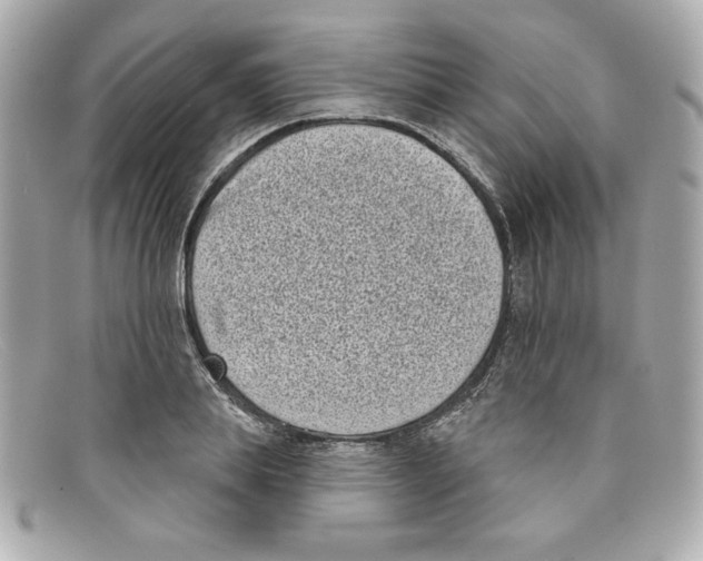 X0000097950839200804211034