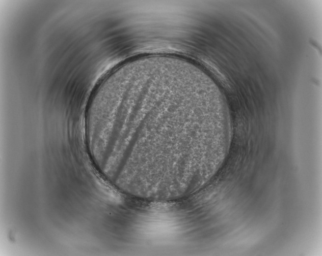 X0000097950840200804211034