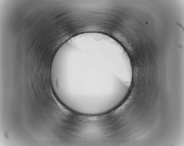X0000097950841200804211034