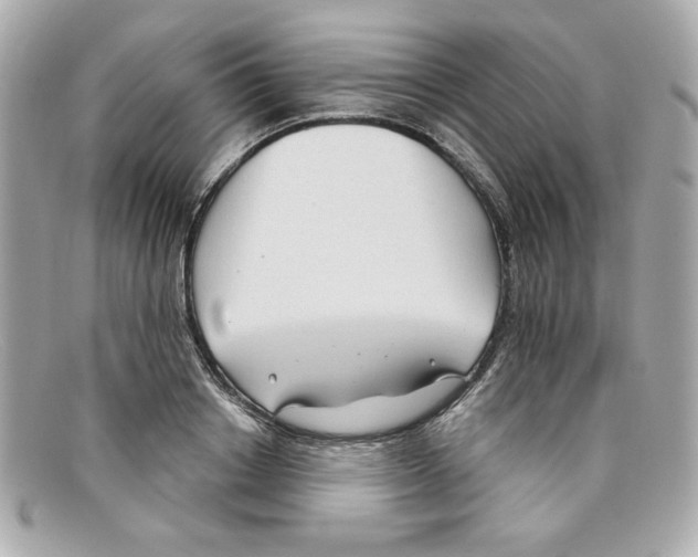 X0000097950842200804211034