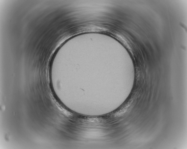 X0000097950843200804211034