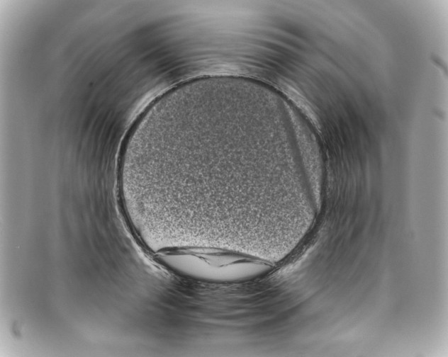 X0000097950845200804211034