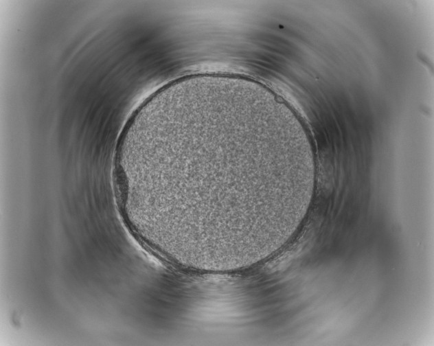 X0000097950847200804211034