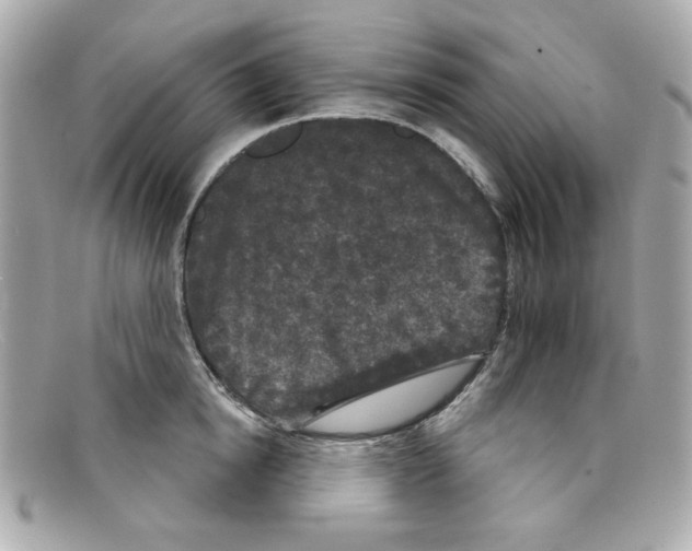 X0000097950854200804211034