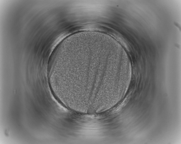 X0000097950855200804211034