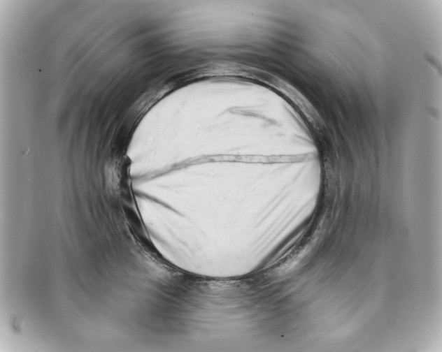 X0000097950857200804211034
