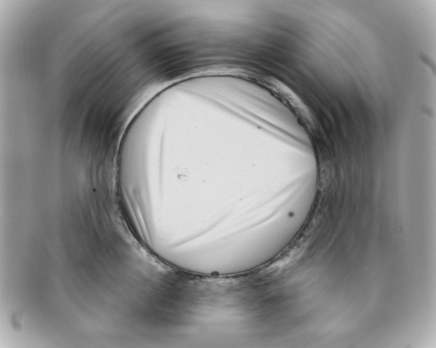 X0000097950860200804211034
