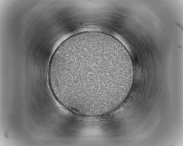 X0000097950861200804211034