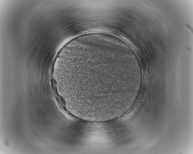 X0000097950862200804211034
