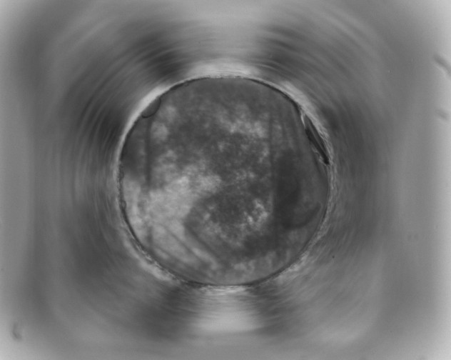 X0000097950864200804211034