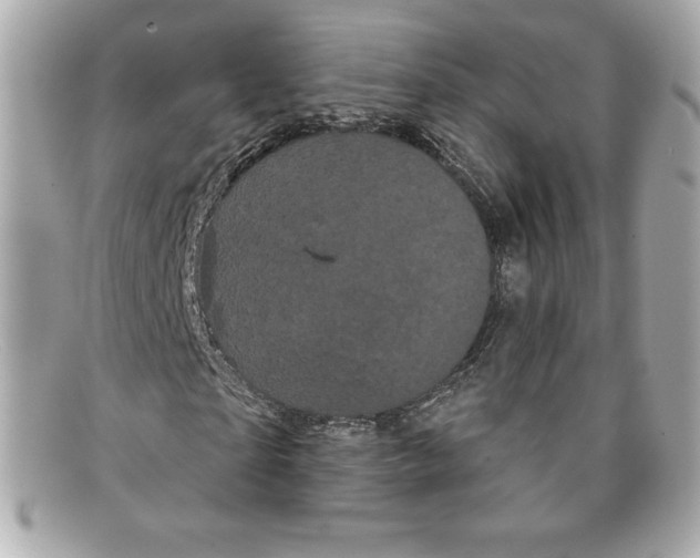 X0000097950865200804211033