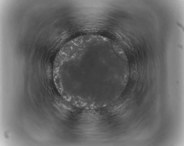 X0000097950866200804211033