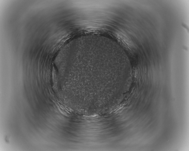 X0000097950868200804211033