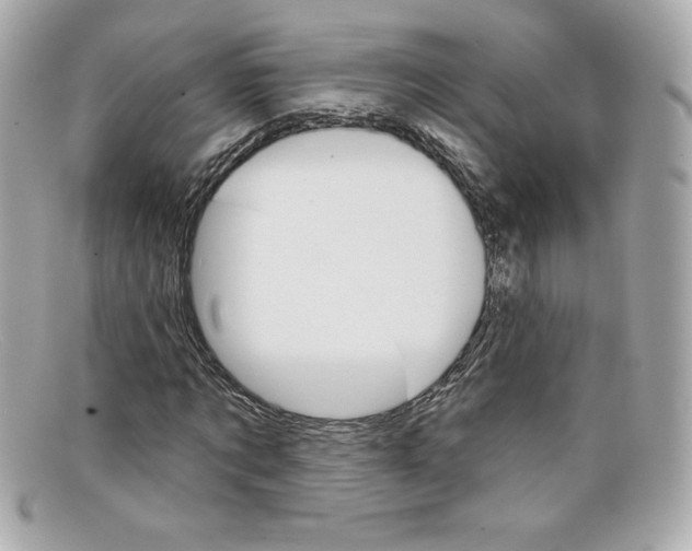 X0000097950869200804211033