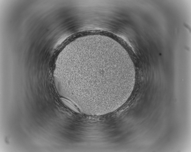 X0000097950871200804211033