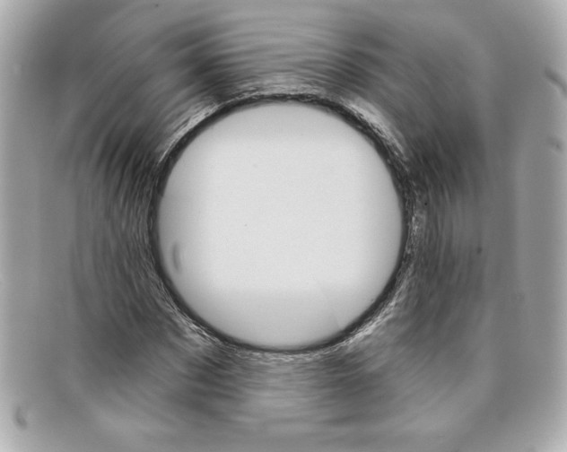 X0000097950873200804211033