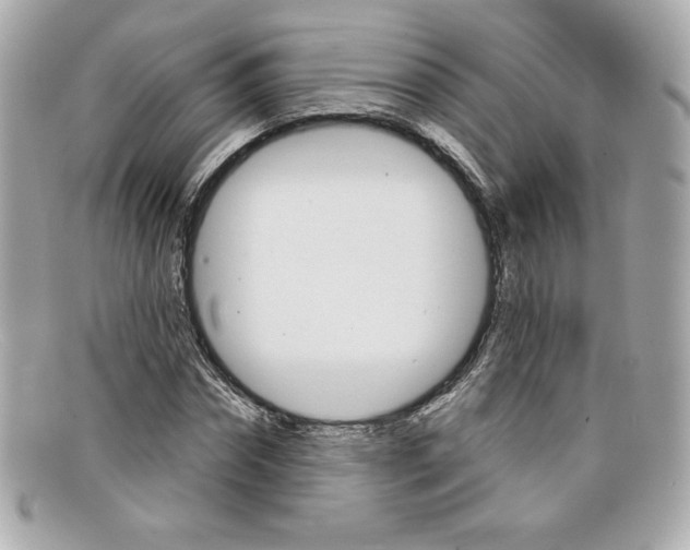 X0000097950874200804211033