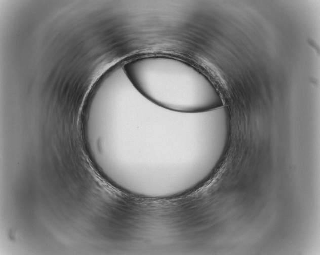 X0000097950876200804211033