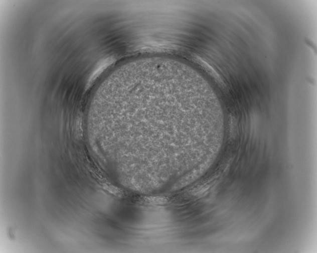 X0000097950878200804211033