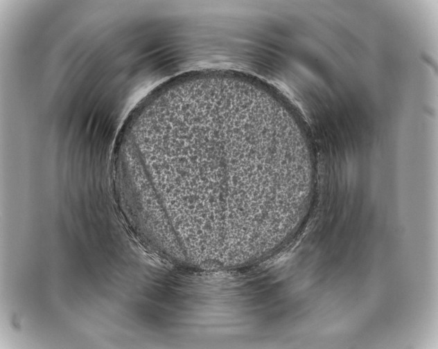 X0000097950879200804211033