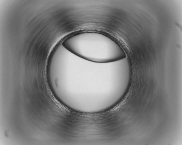 X0000097950880200804211033