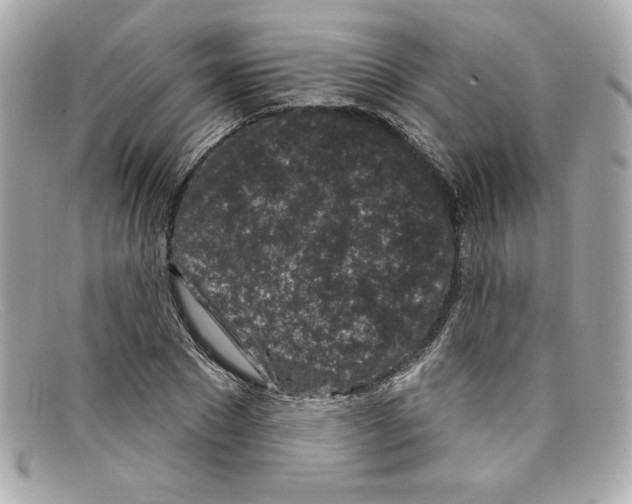 X0000097950881200804211033