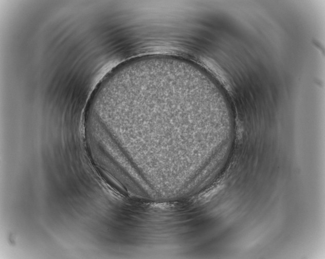 X0000097950883200804211033