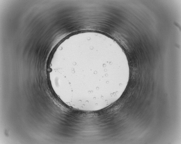 X0000097950884200804211033