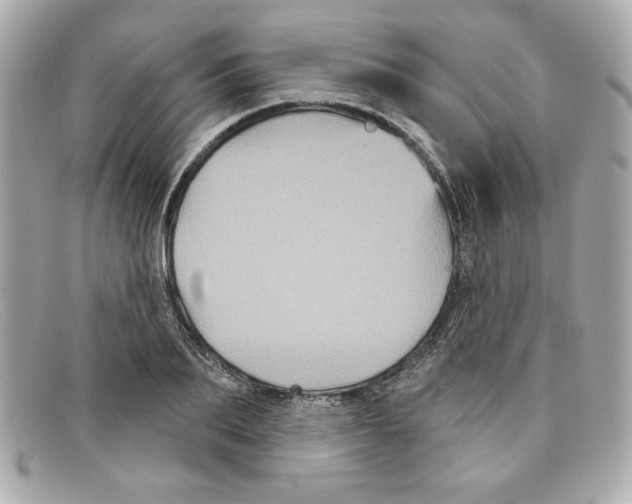 X0000097950887200804211033