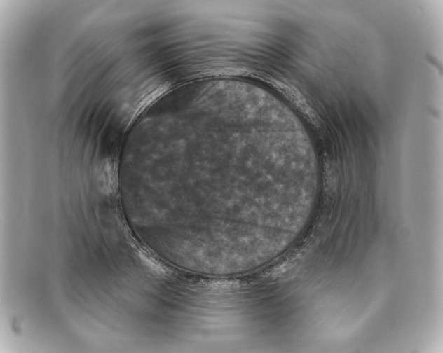 X0000097950889200804211033