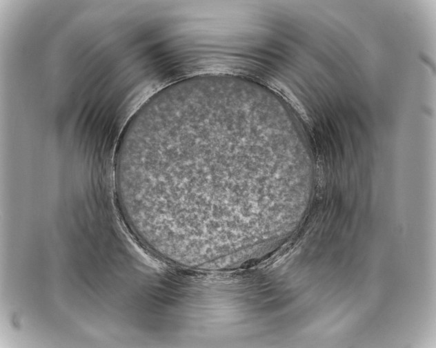 X0000097950890200804211033